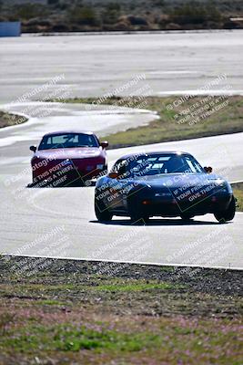 media/Feb-18-2024-Extreme Speed (Sun) [[27751ef890]]/Red Group/